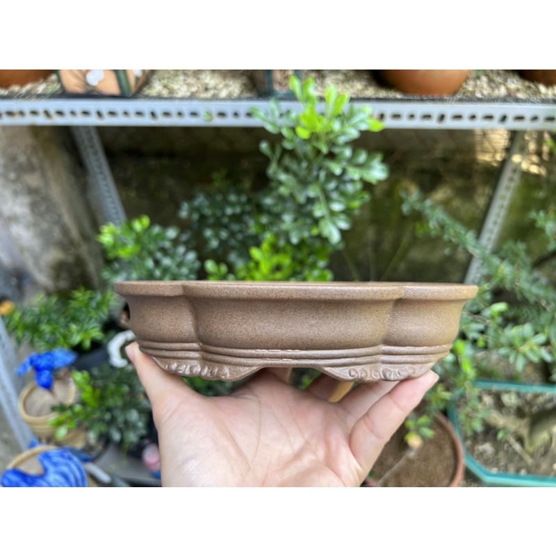 Video chậu đất nung áng mây biên hoà