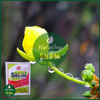 Phân Bón Siêu Lân