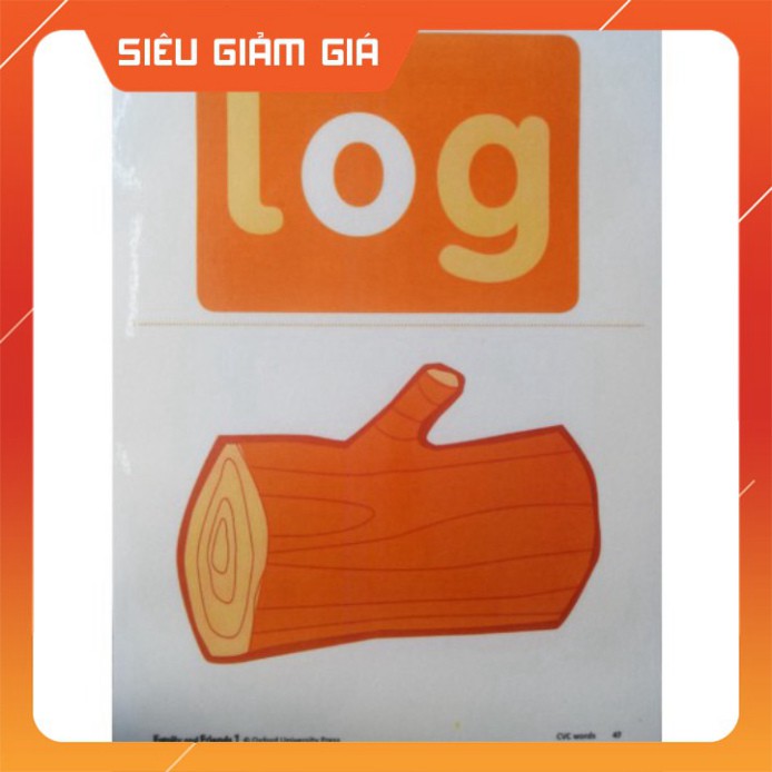 Flashcard Family and friends 1 | Family and friends flashcard 1 | GIẢM GIÁ SẬP SÀN