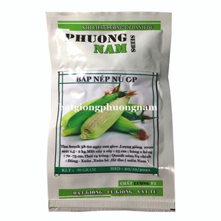 20 GR -  HẠT GIỐNG BẮP NẾP NÙ