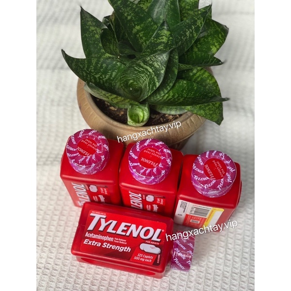 Hộp Đựng Tyllenoll 325 Viên