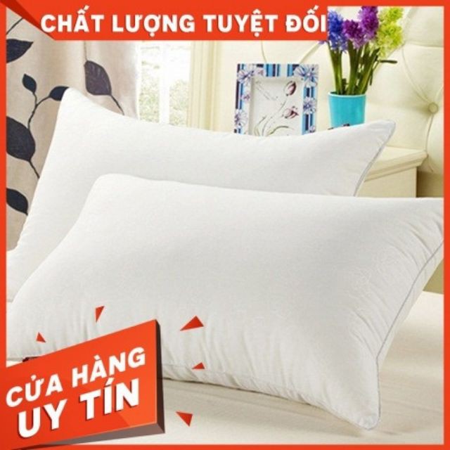 Ruột gối đầu 2 chiếc 1 kg như hình ruột gối hạt trắng đẹp