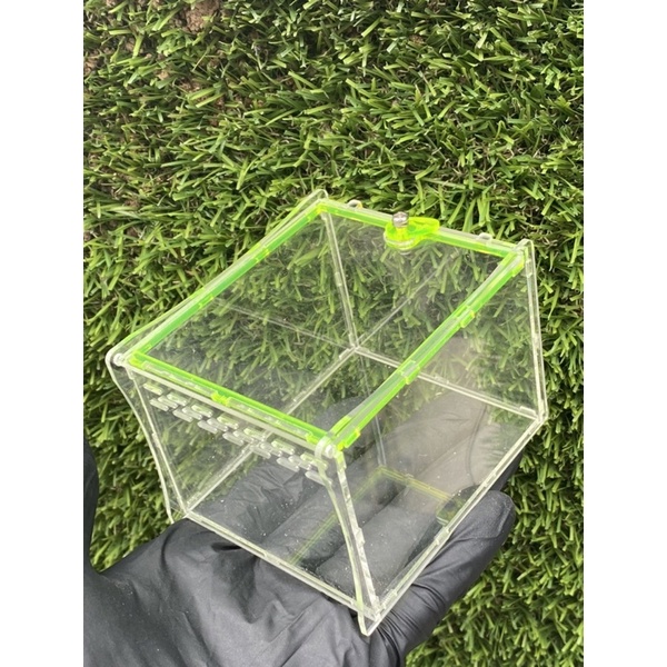 Hộp nuôi côn trùng, nhện kiểng, Tank Tarantula 10x8x7cm