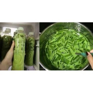 Combo tạo cho khách;   20 lọ tinh dầu lá nếp