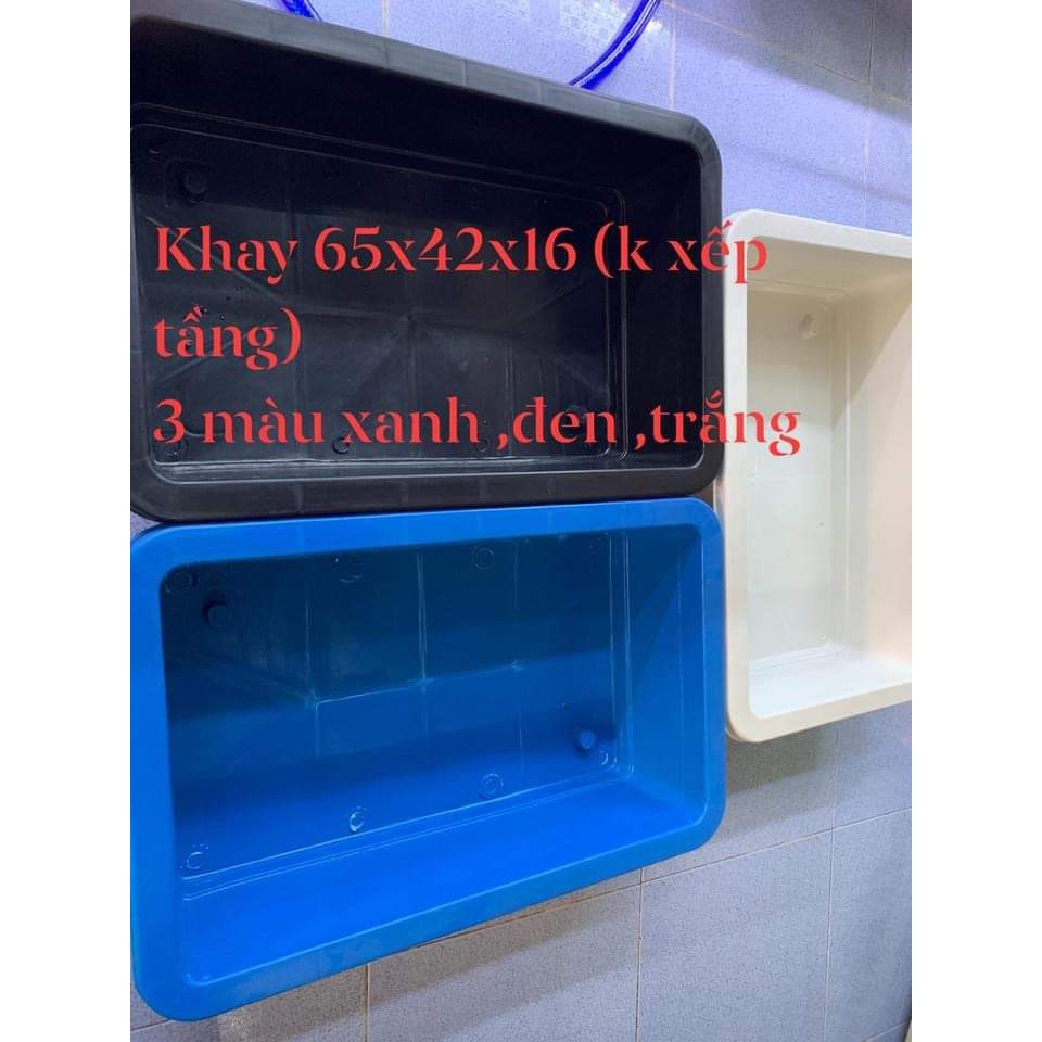 Khay nhựa nuôi cá , trồng rau 65x42x16 3 màu đen xanh trắng