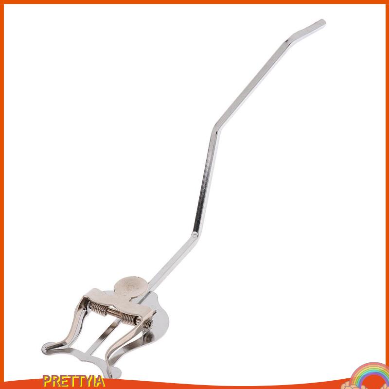 1 Kẹp Kèn Trumpet Lyre Du Lịch Cho Ban Ngày