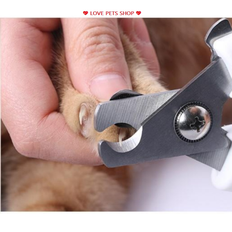 KÌM CẮT MÓNG CHO CHÓ MÈO KÈM DŨA SIZE LỚN - LOVE PETS SHOP