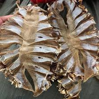 500gram KHÔ CÁ ĐUỐI LOẠI NGON
