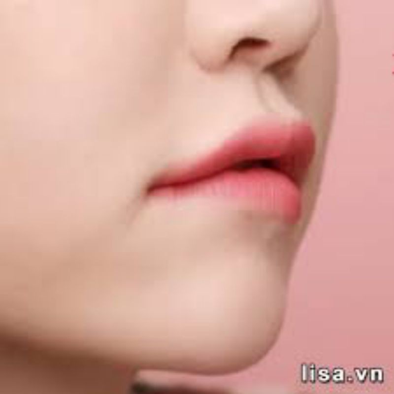 Son thỏi Black Rouge màu Hồng đất | BigBuy360 - bigbuy360.vn