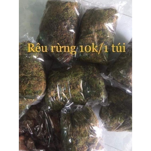 [SIEURE] Rêu rừng 100gr hàng đẹp, phân phối chuyên nghiệp.