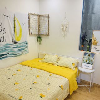 Bộ chăn ga 4 món cotton 3D hàng nhập