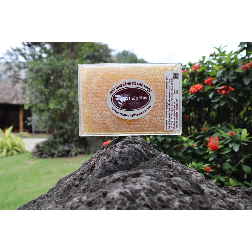 [Mã 267FMCGSALE giảm 8% đơn 500K] MẬT ONG BÁNH TỔ THẢO MỘC HỘP 500GR TẶNG KÈM HOA BẠC HÀ, HOA RỪNG | BigBuy360 - bigbuy360.vn