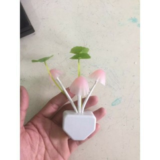 Đèn ngủ hình 3 cây nấm Avatar