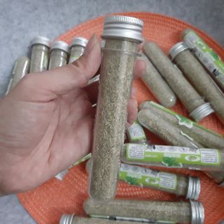 Cỏ bạc hà Catnip Catmint cho mèo
