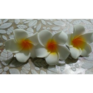 3 KẸP TÓC HOA SỨ 4CM
