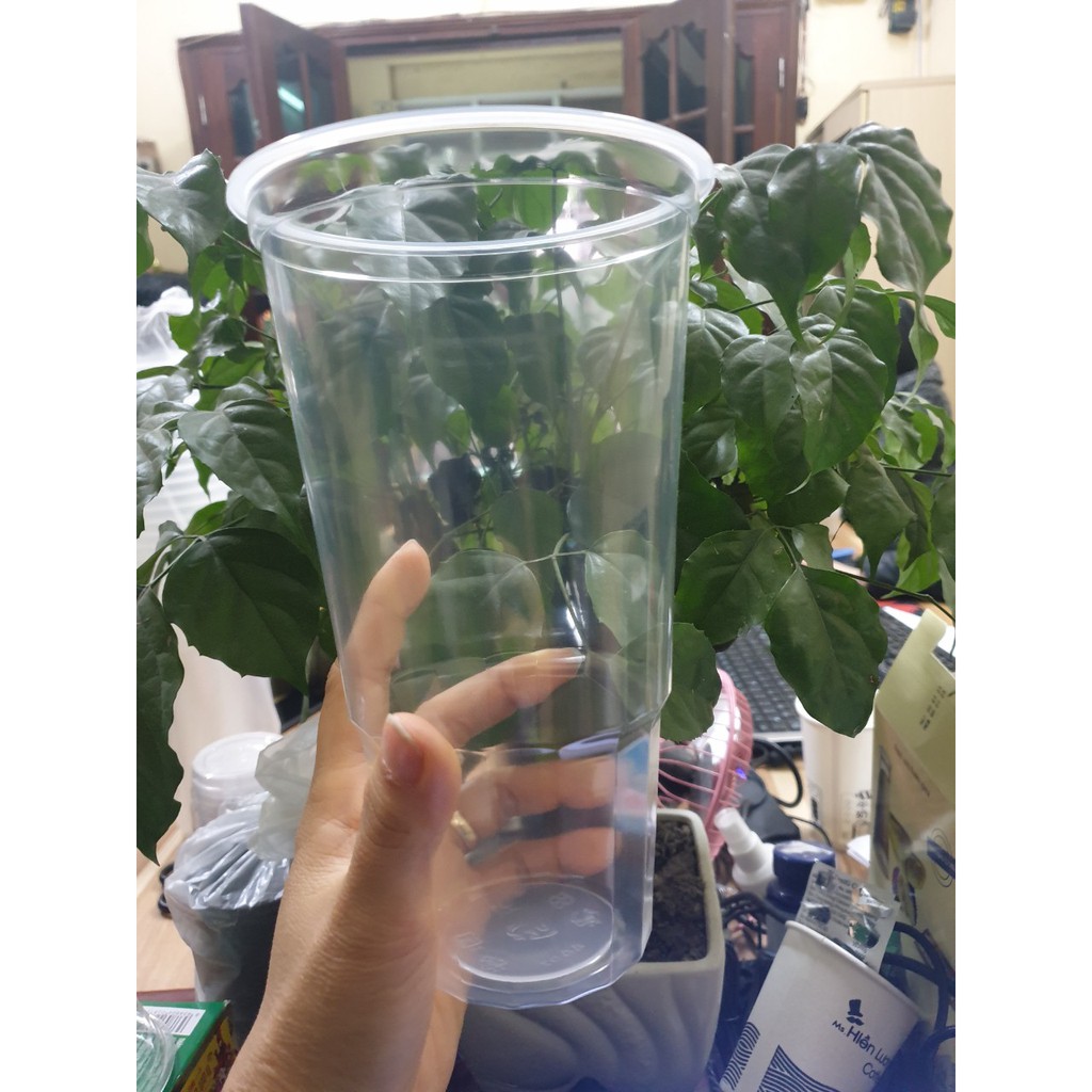 25 CÁI CỐC TRÀ CHANH CON CÁ KHỔNG LỒ - CỐC 1LIT