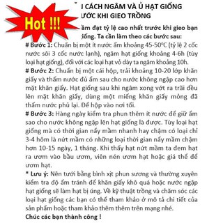 Hạt giống Ớt Xiêm (0.4g)