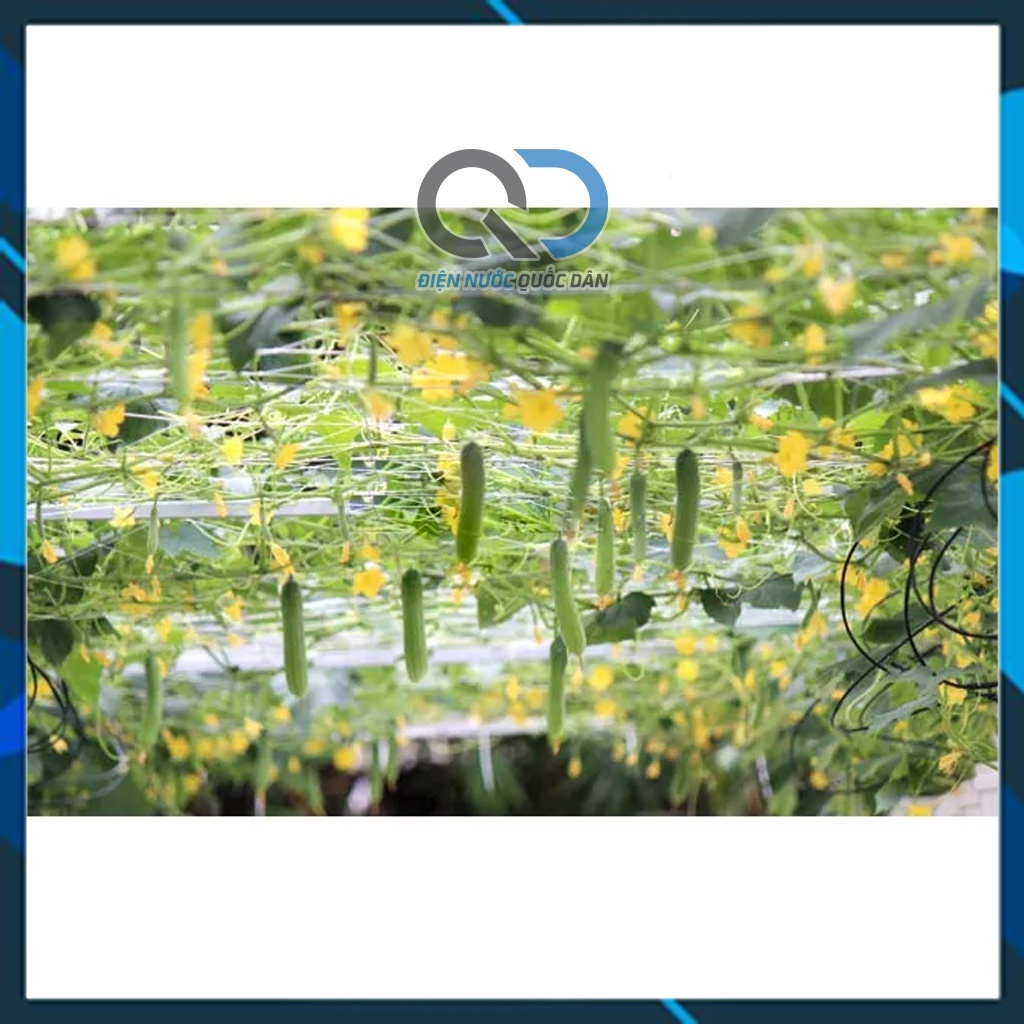 Dây kẽm dạng khoanh 1ly - 1.5ly - 2ly làm dàn cho dây leo, uốn cây cảnh, làm dây phơi