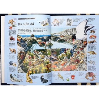 Sách-Thử tài tìm kiếm (mã lẻ)