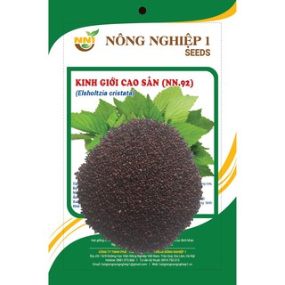 5gr Hạt Giống Kinh Giới Cao Sản - Học Viện Nông Nghiệp Việt Nam