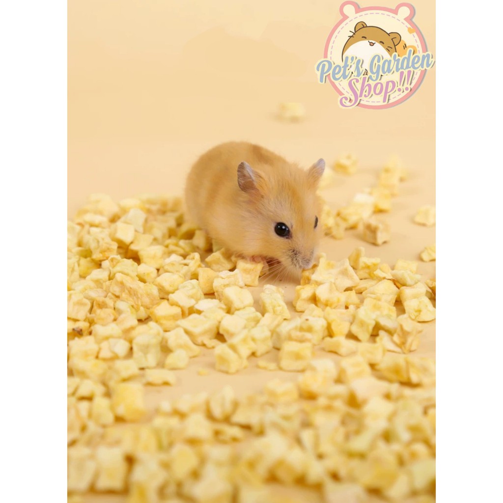 Táo sấy khô - Thức ăn hamster, thỏ, bọ, sóc