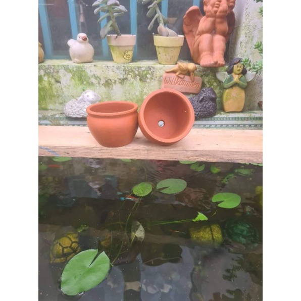 Chậu đất nung - chậu bắp cải nhỏ miệng 8, cao 6
