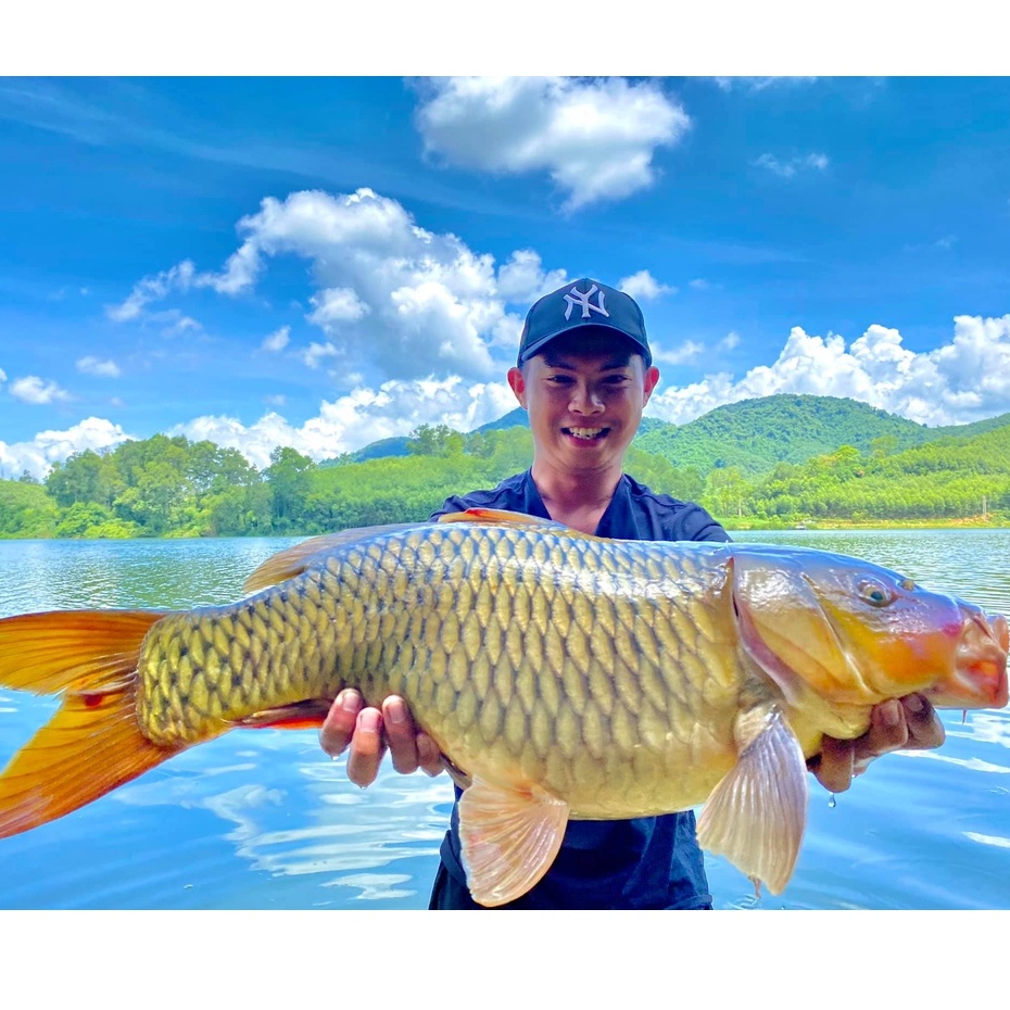 Chặn chỉ chặn phao câu cá dùng cho câu lục, câu đơn, câu lăng xê, câu biển, câu ngâm LK Hòa