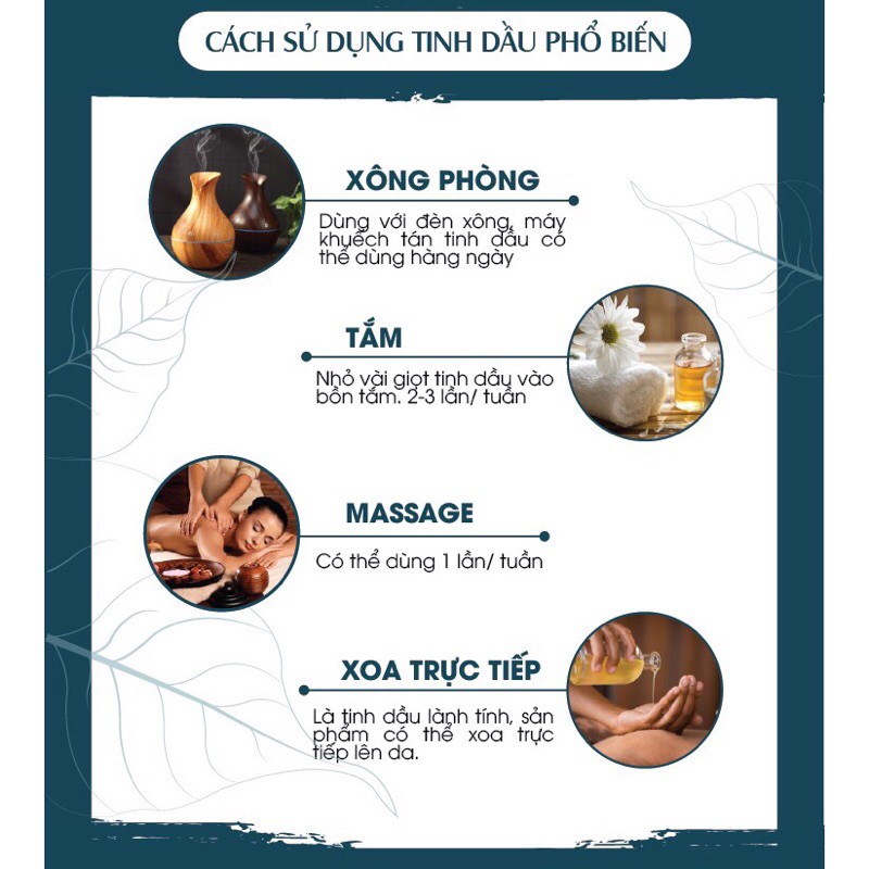 Combo 6 tinh dầu PK 6 mùi (5ml/chai)