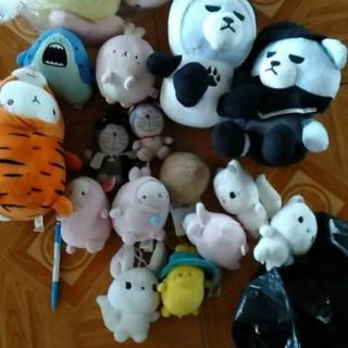 Combo gấu bông molang, cáo trắng