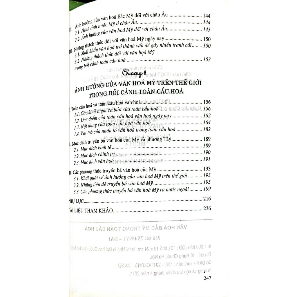 Sách - Văn Hóa Bắc Mỹ Trong Toàn Cầu Hóa