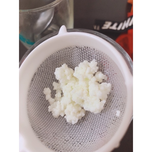nấm sữa chua kefir