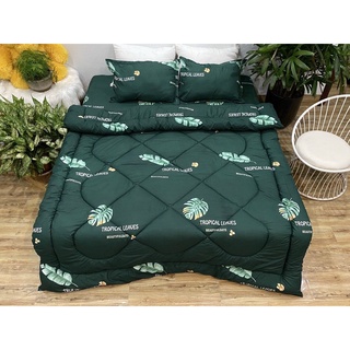 Trọn bộ ga gối chăn phao 5 món lá chuối đậm