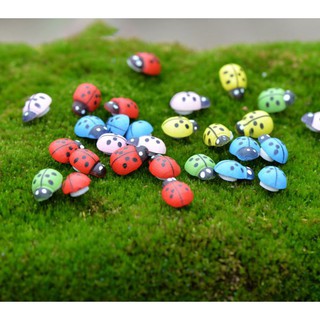 Bộ 20 con bọ cánh cứng nhiều màu sắc vô cùng đáng yêu