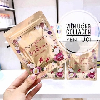 Collagen yến tươi nhật bản