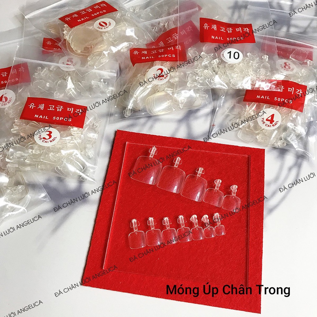Móng úp chân màu đục, trong đủ size 500 móng đủ size ANGELICA MUCD MUCT