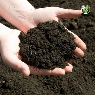 Phân Trùn Quế Hapi Green Phú Nông - Bao Lớn 10kg