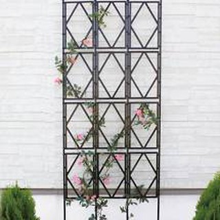 Khung trồng hoa hồng leo cao cấp - ban công xanh