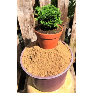 10 kilogam cát suối trộn đất trồng cây