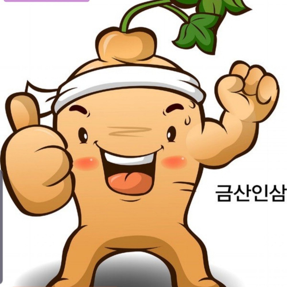 Sâm Nấm Miso Korea, Cửa hàng trực tuyến | BigBuy360 - bigbuy360.vn