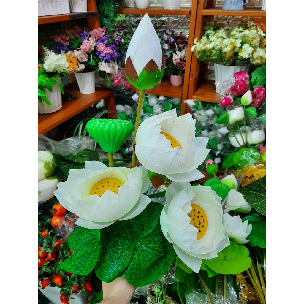Cành Sen Như Thật Dài 100cm 8 Nhánh - Hoa Trang Trí Nhà Cửa- Hoa Lụa Cao Cấp Bền Đẹp Theo Thời Gian