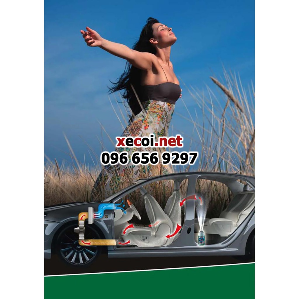 Khử mùi, diệt nấm mốc vi khuẩn dàn lạnh ô tô Sonax car a/c cleaner air aid
