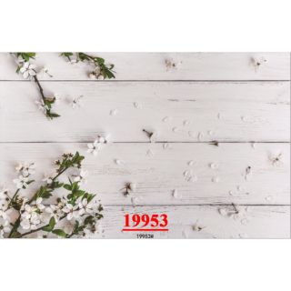 Thảm 3d chụp ảnh sản phẩm