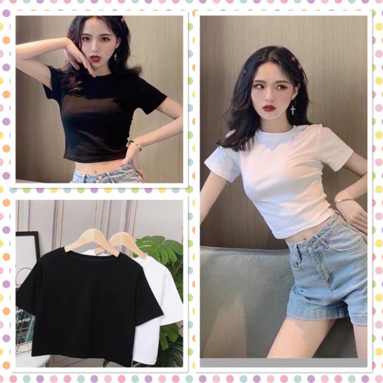 Áo croptop trơn màu đen trắng cơ bản thiết kế trang nhã trẻ trung dễ phối đồ