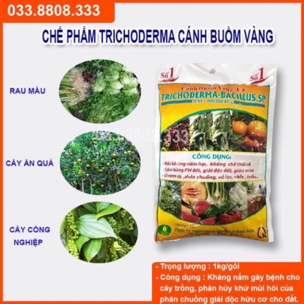 1kg nấm đối kháng Trichoderma ủ phân hữu cơ .
