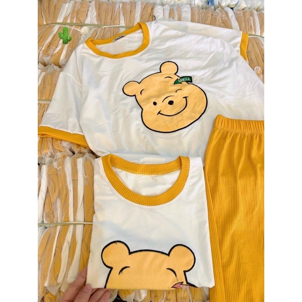 Set bộ áo thun phông gấu thêu kèm quần dài tăm PC alohashop91