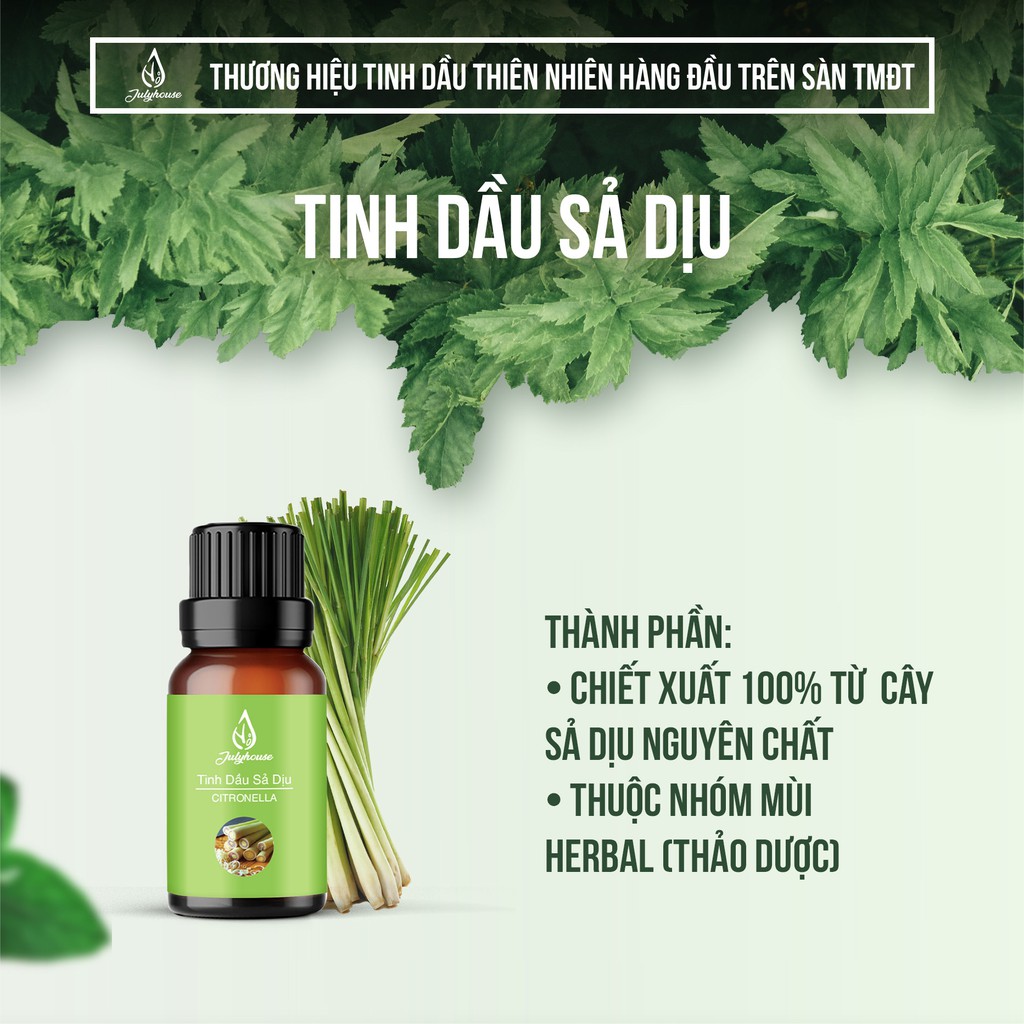 Tinh dầu sả dịu 10ml JULYHOUSE