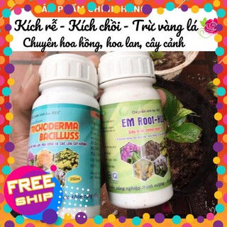 Combo Sản Phẩm Chăm sóc Hoa Hồng, Hoa Lan, Cây Cảnh - Kích thích ra rễ, kích chồi, kích mầm, phòng trị vàng lá thối rễ