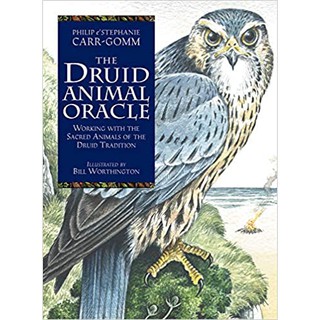 Bộ bài The Druid Animal Oracle Deck