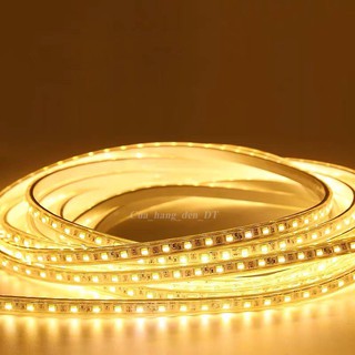 Đèn Led trang trí - dây đôi siêu sáng 2835 [Den Led Day]