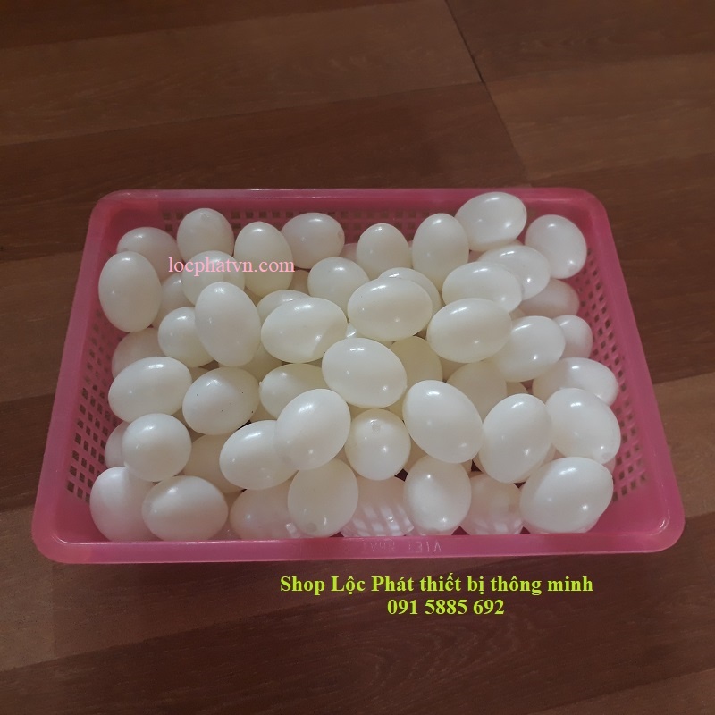 Trứng bồ câu giả, nước bên trong, vỏ nhựa dày không méo, màu trắng cho chim ấp TRN-TR1VC